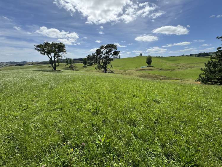 829 Honikiwi Road Otorohanga_2