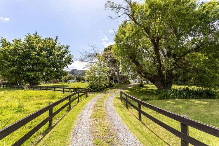 Jacaranda Lodge, 3195 Tiki Road Coromandel_1