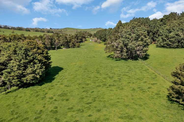 Knight Road Ruatangata_6