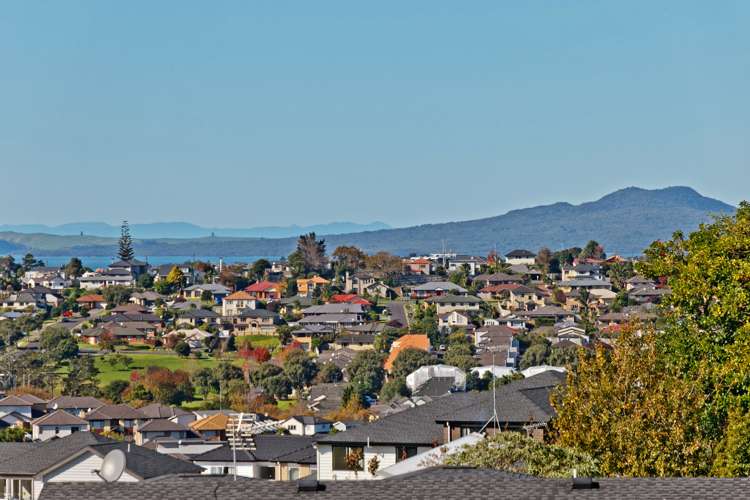 116 Fairview Avenue Fairview Heights_3