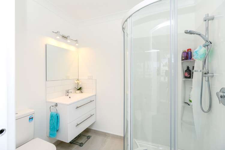 17 Tarahua Road Vogeltown_9