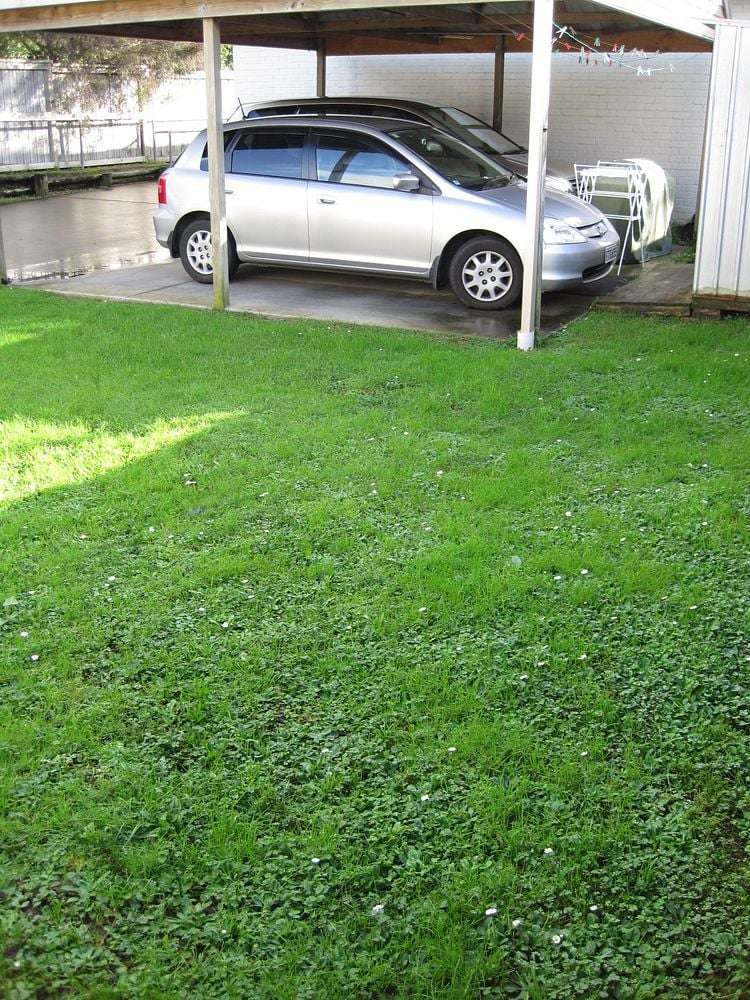 29 Eldon Road Mount Eden_11