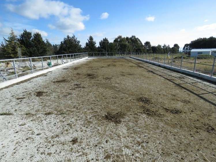 1035 Newland Road Clandeboye_20