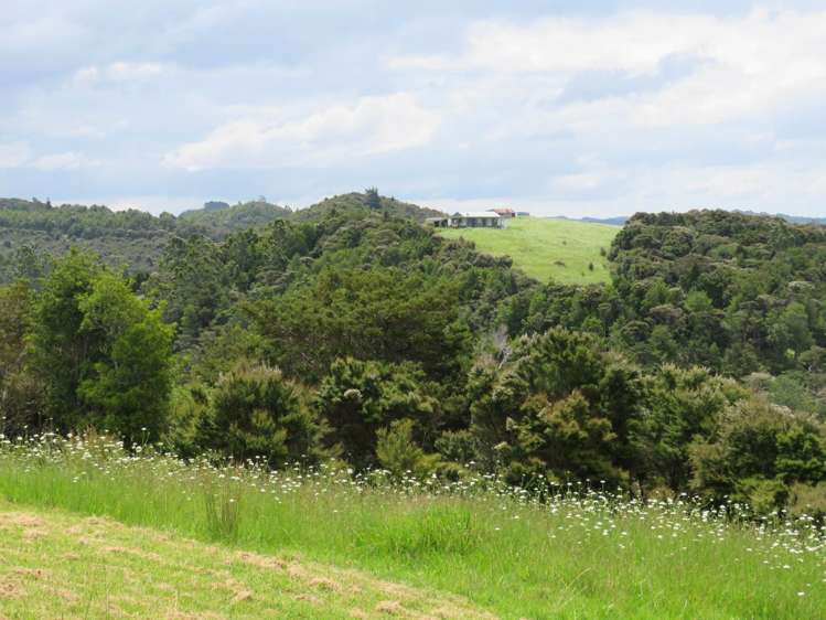 Pataua North Road Pataua_13