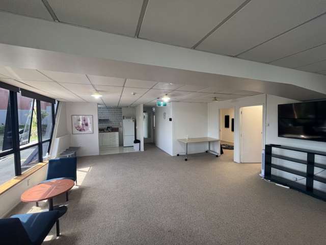 9 Karaka Street Eden Terrace_1