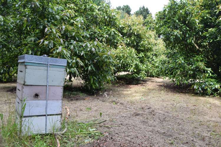 Journeys End Tapora_6