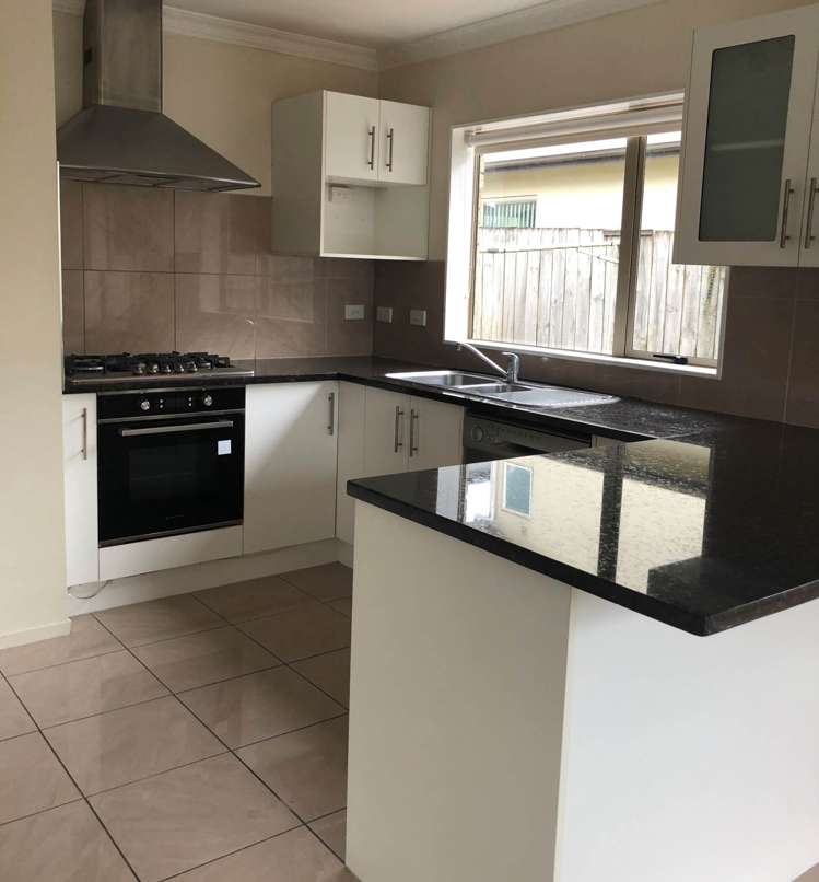 50 Mandival Avenue Flat Bush_2