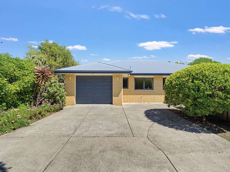 96A Domain Road Whakatane_3