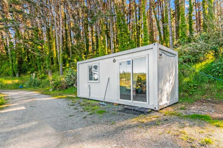 110 Whangape Track Road Broadwood_17