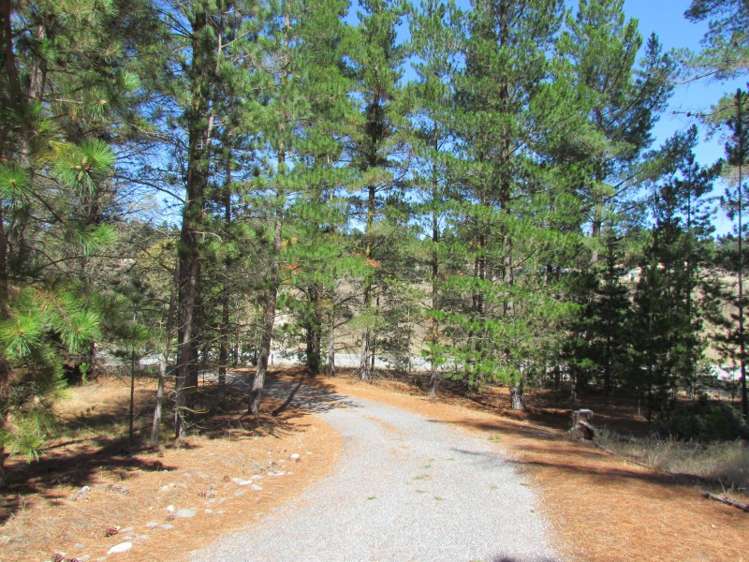 198 Letts Gully Road Alexandra_1