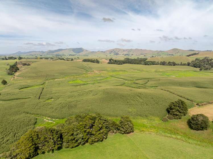 1179 Tahuna Road Ohinewai_8