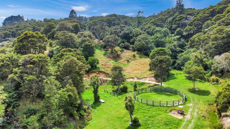 791B White Pine Bush Road Awakeri_44