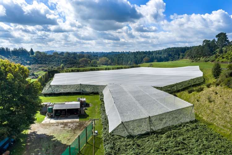 1151 Oreipunga Road Maungatautari_11