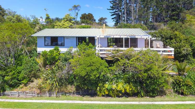 399 Horseshoe Bush Road Dairy Flat_22