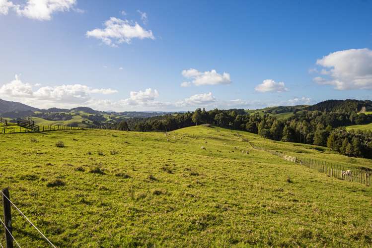 235 Hilford Road Waiotira_25