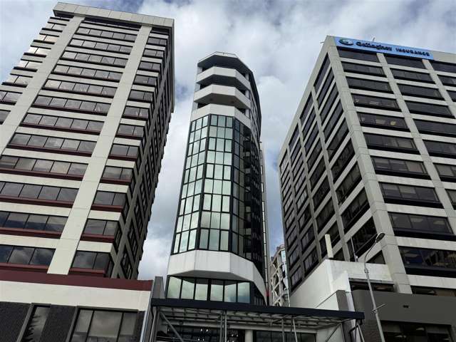 Level 9, Rear, 5 Willeston Street Wellington Central_1