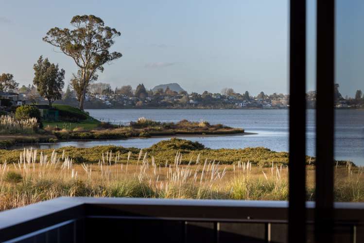 31 Hinaki Street Poike_6