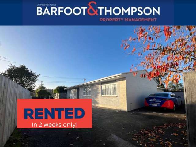 Single level Modern 3-Bedroom Home in Glen Eden!