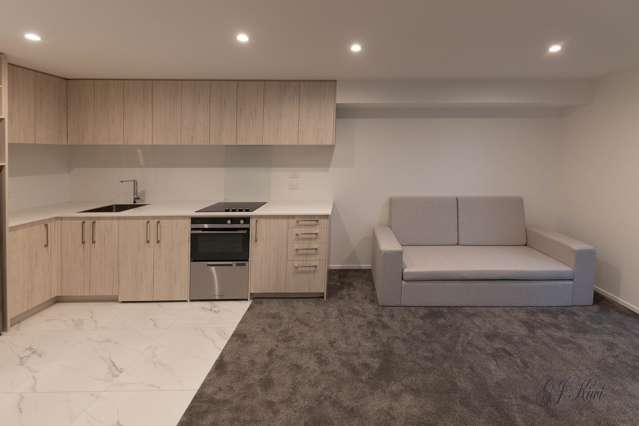 17 Winchester Street Merivale_1