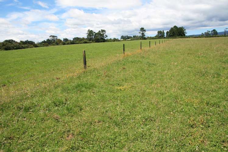 50 Bedford Road North Inglewood_9