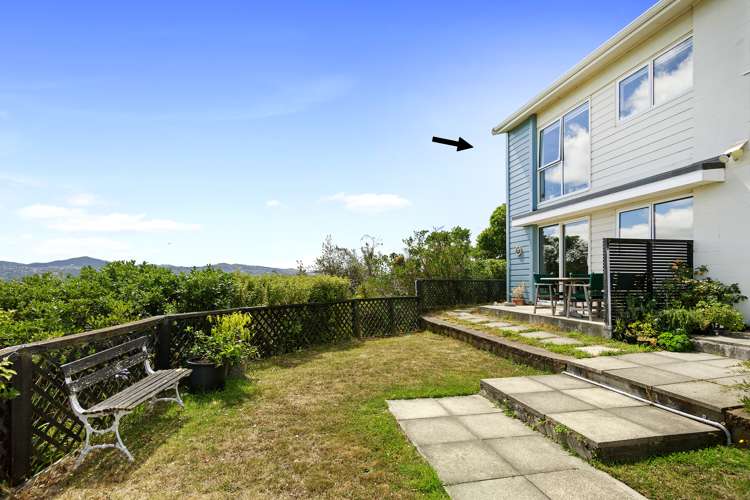 8d Nikau Road Point Howard_1