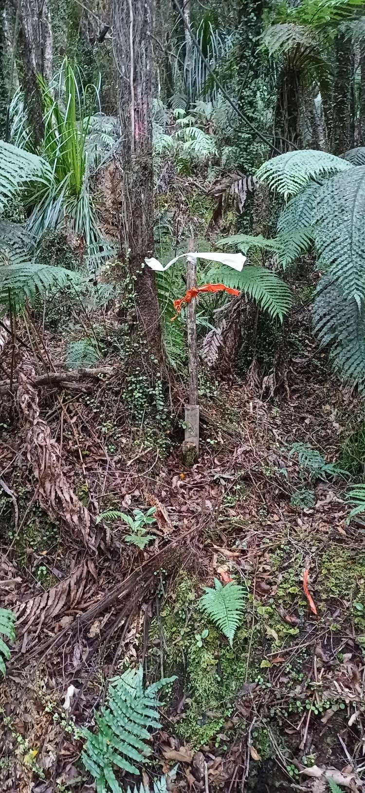 Ballarat Rise Awatuna_11