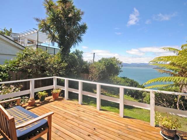 137 Barnard Street Wadestown_3