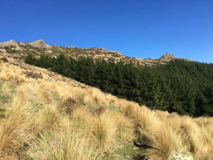 581a Mcqueens Valley Road Gebbies Valley_14