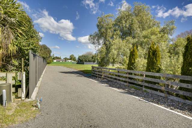 Two Premium Lifestyle Sections - Your Choice