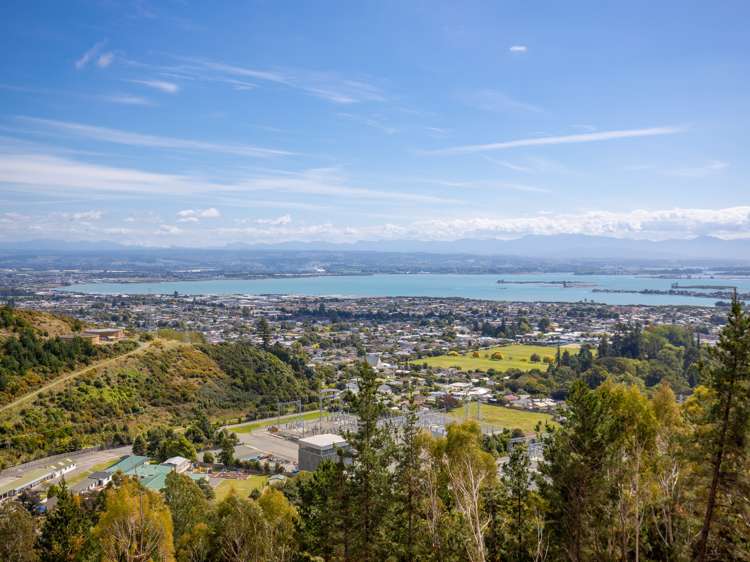 184 Panorama Drive Enner Glynn_10