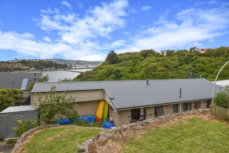 20 Larnach Road Waverley_13