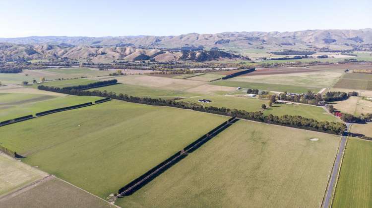 595 East Taratahi Road East Taratahi_5