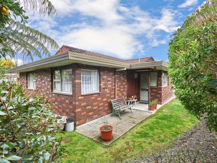 231 Botanical Road Takaro_8