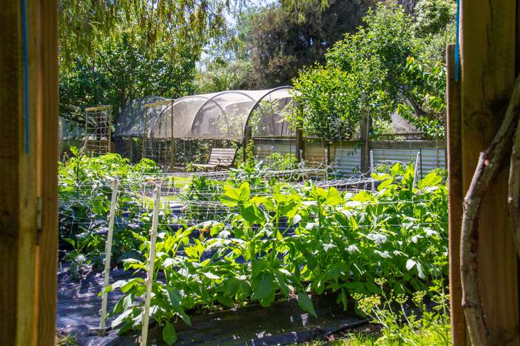 1531 Kahutara Road Kahutara_17