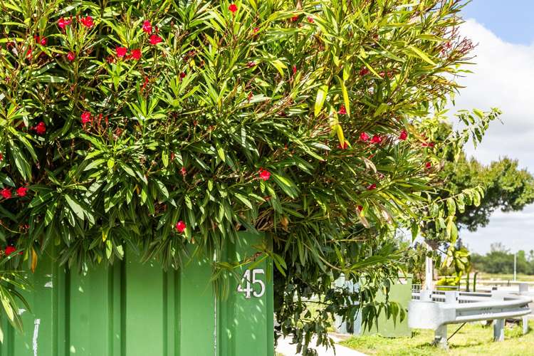 45 Middle Road Havelock North_7