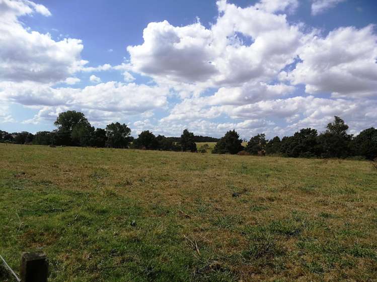 Kereone Road Morrinsville_8