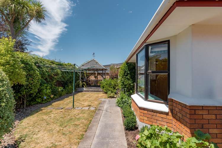 50d Mcmaster Street Greytown_10