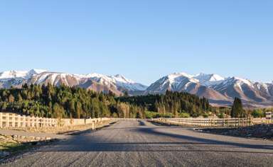 Merino Downs_1