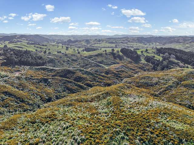 213 Hilford Road Waiotira_4