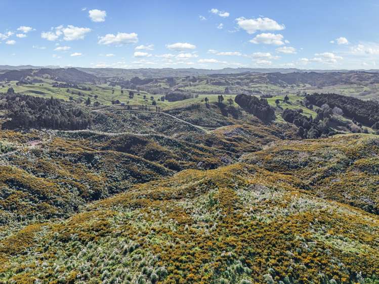 213 Hilford Road Waiotira_4