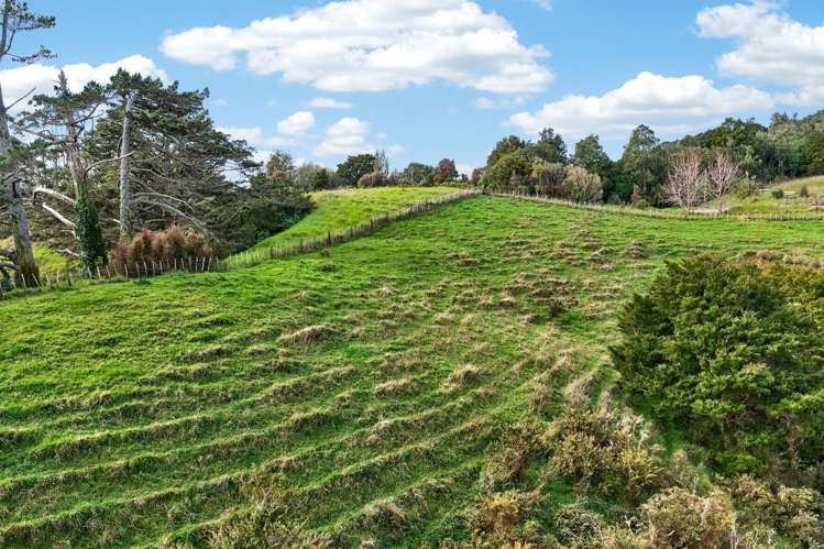 63 Porter Road Paparoa_27
