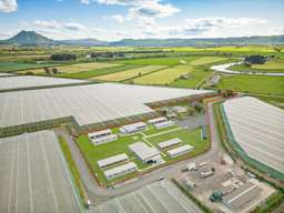 Workers’ village offers stake in kiwifruit boom