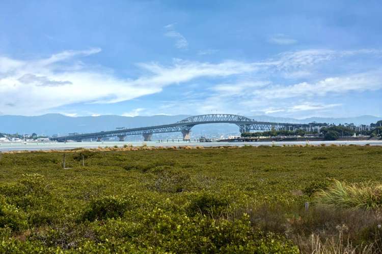 15 Merwood Lane Devonport_30