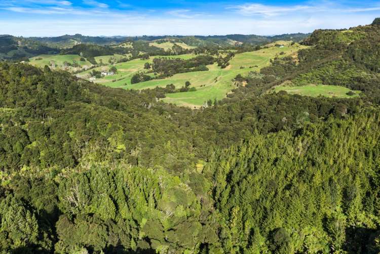 320 Upper Waiwera Road Puhoi_38