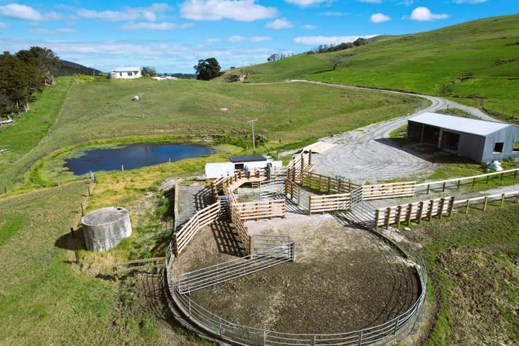 3050 Mititai Road Dargaville_1