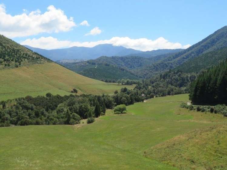 472 Maungatapu Road Rai Valley_10