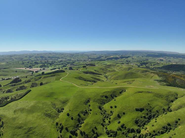 1916 Manuka Gorge Road Waitahuna Gully_1