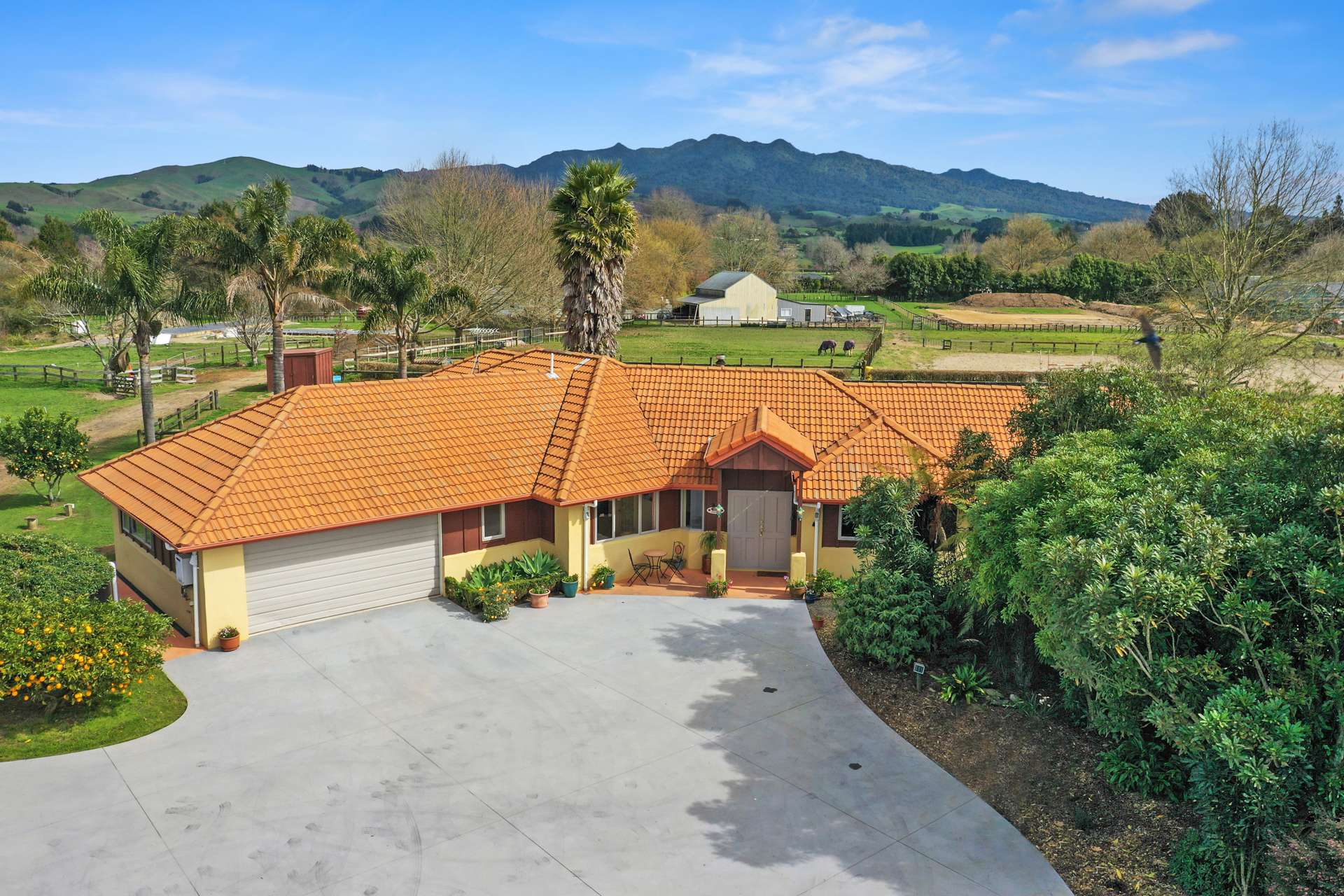 840 Collinson Street Pirongia_0