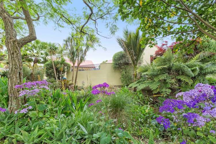 17 Alexander Court Pukekohe_13