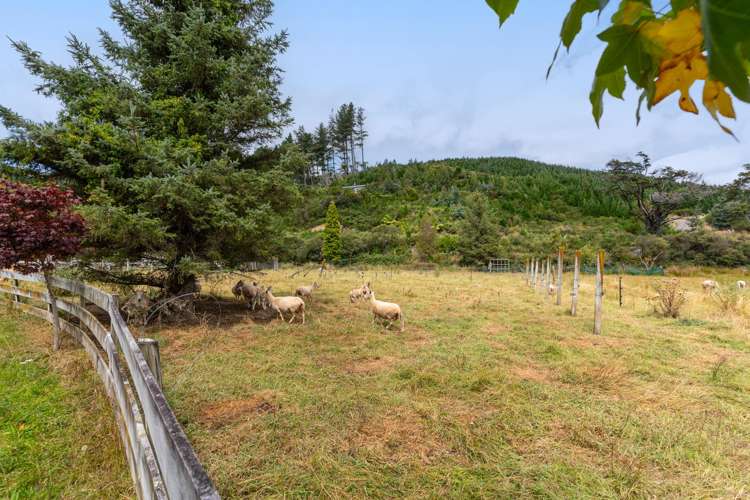 58 Colletts Road Mangaroa_39